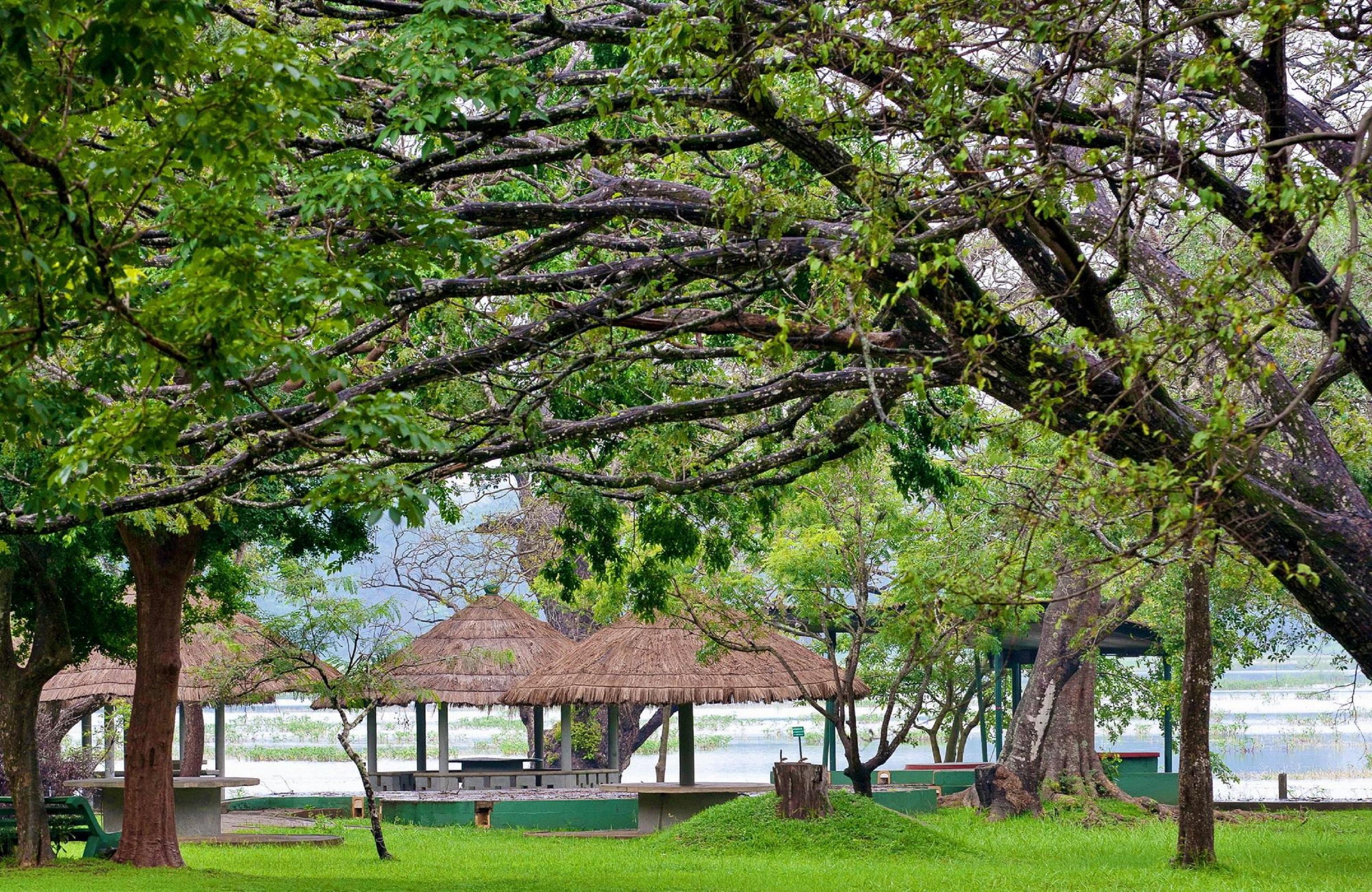Habarana Village By Cinnamon Resort