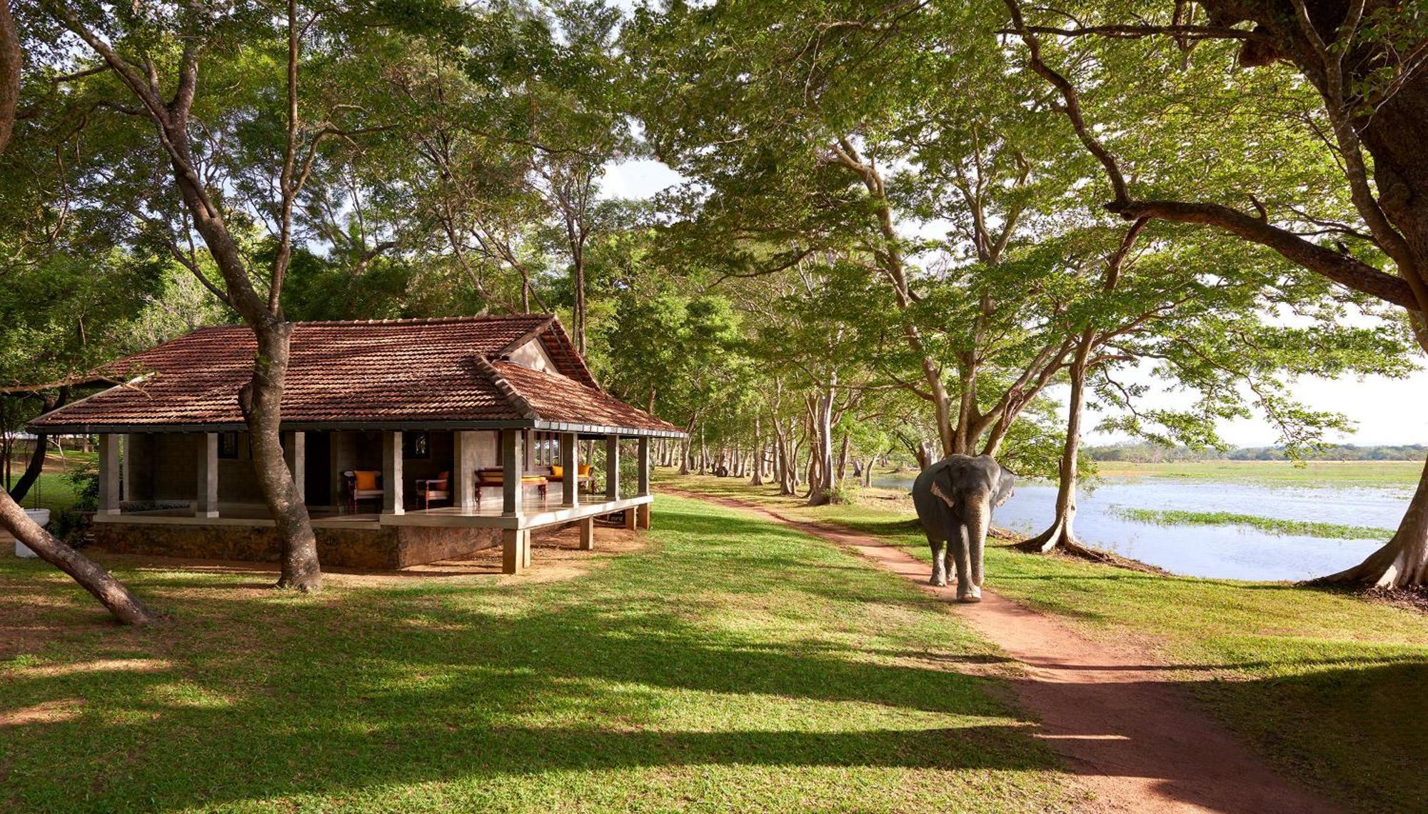 Habarana Village By Cinnamon Resort